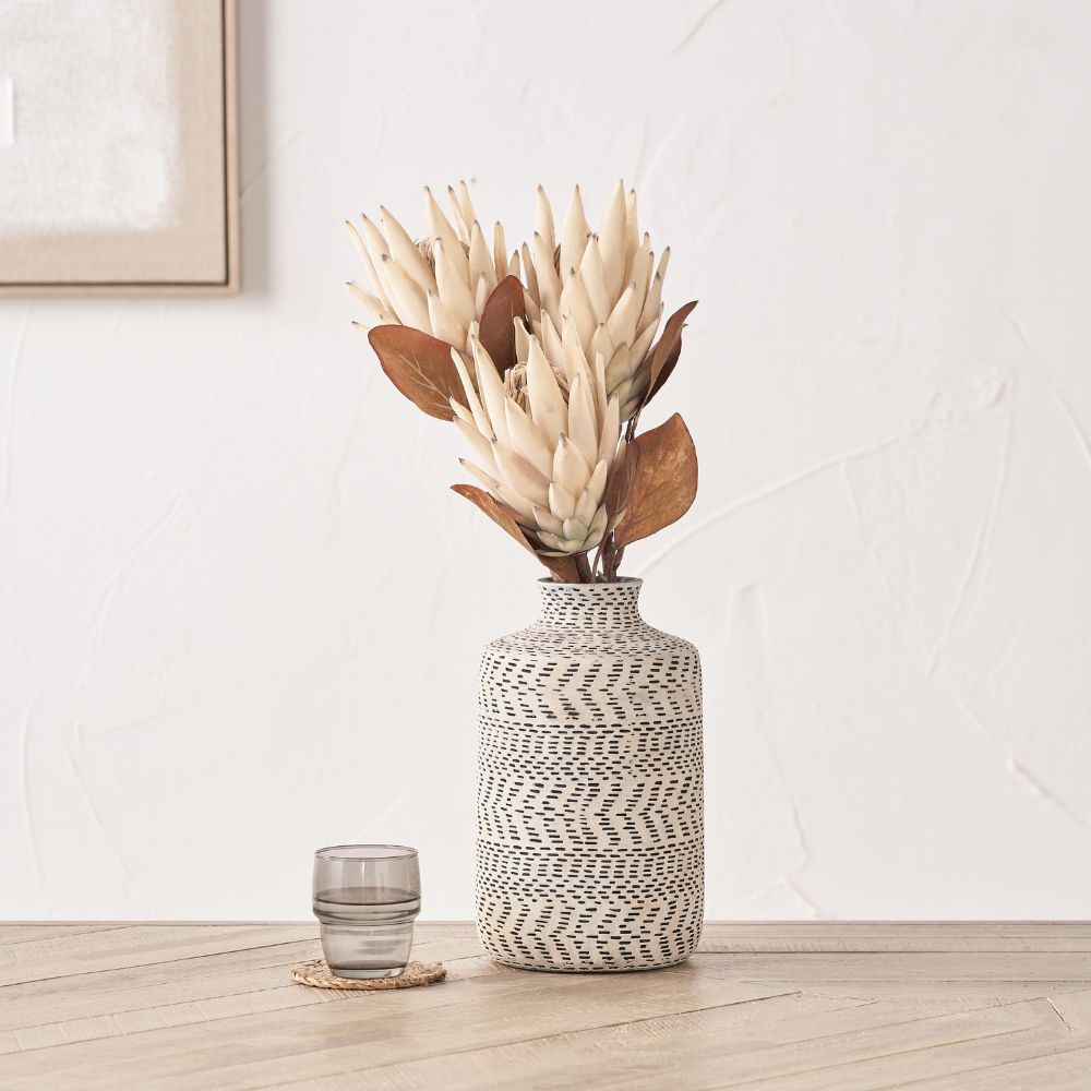 Natural Apricot Protea Pack of 6