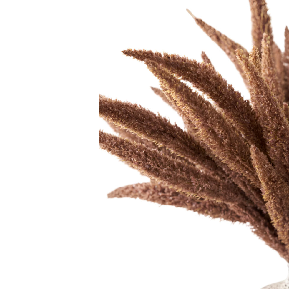 Mulberry Brown Dried Flower Bunch