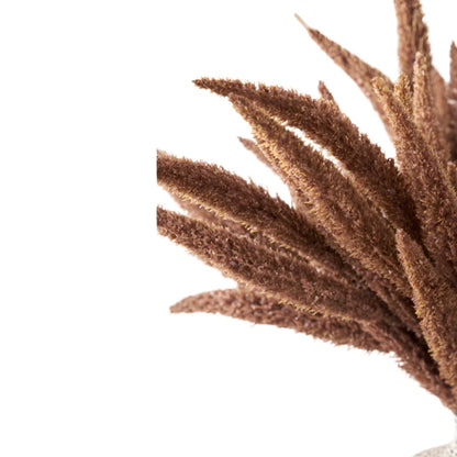 Mulberry Brown Dried Flower Bunch