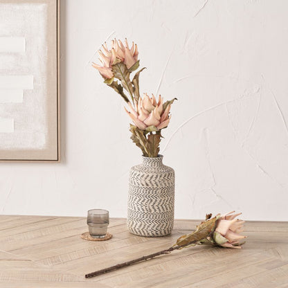 Apricot Lotus Pack of 6
