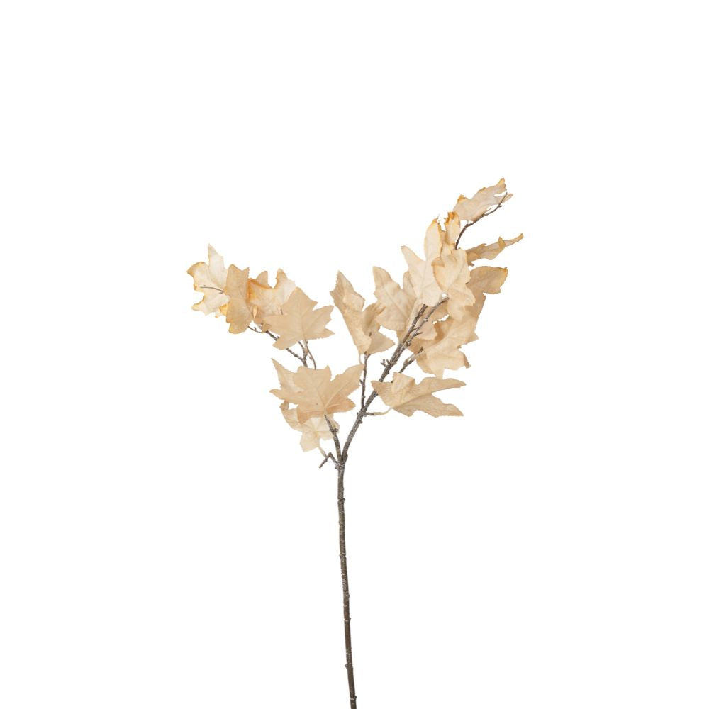 Natural Apricot Maple Leaf Pack of 6
