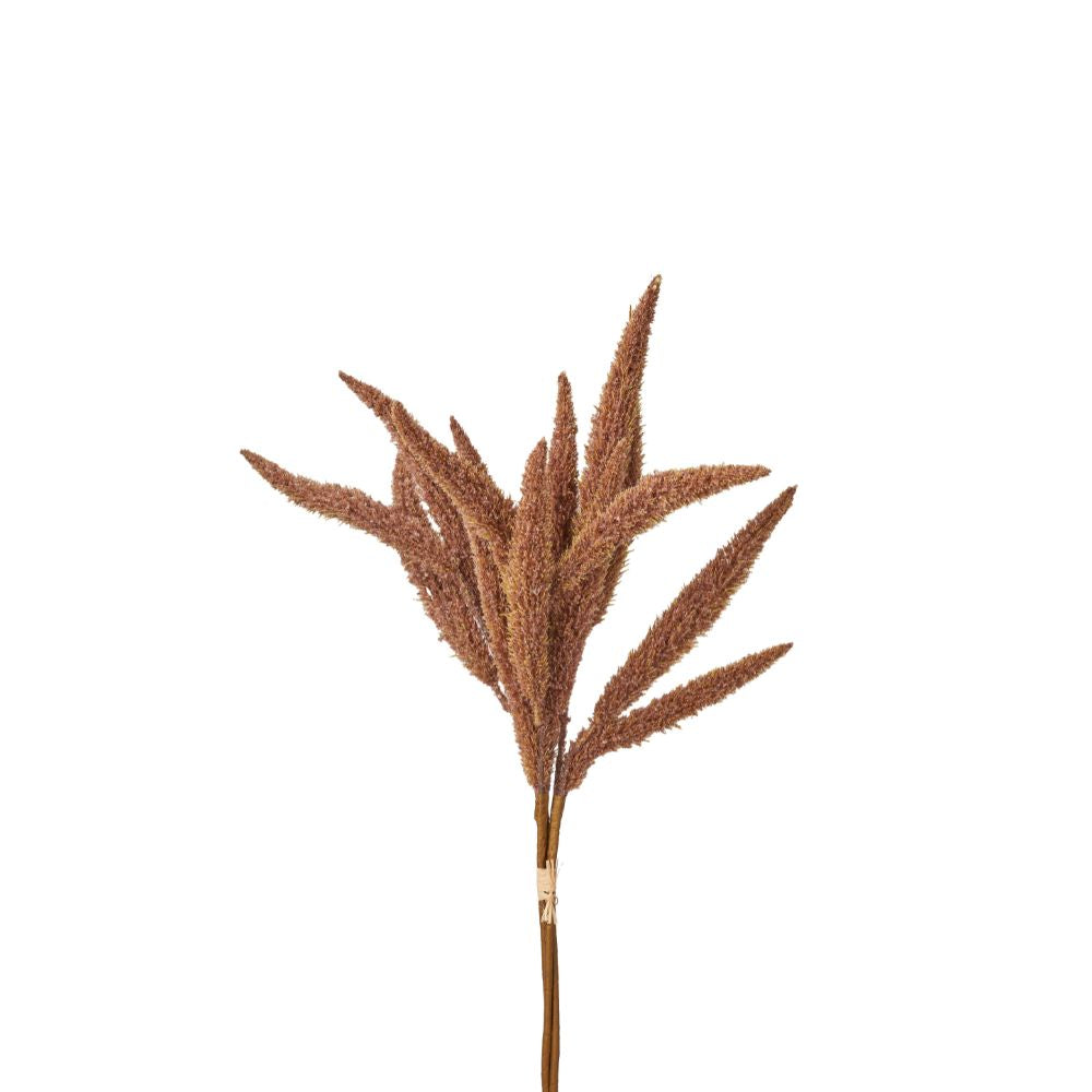 Mulberry Brown Foxtail Hand-Tied 3 Stem Bundle Pack of 6