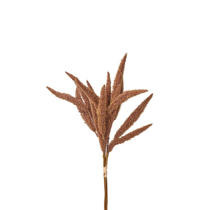 Mulberry Brown Foxtail Hand-Tied 3 Stem Bundle Pack of 6