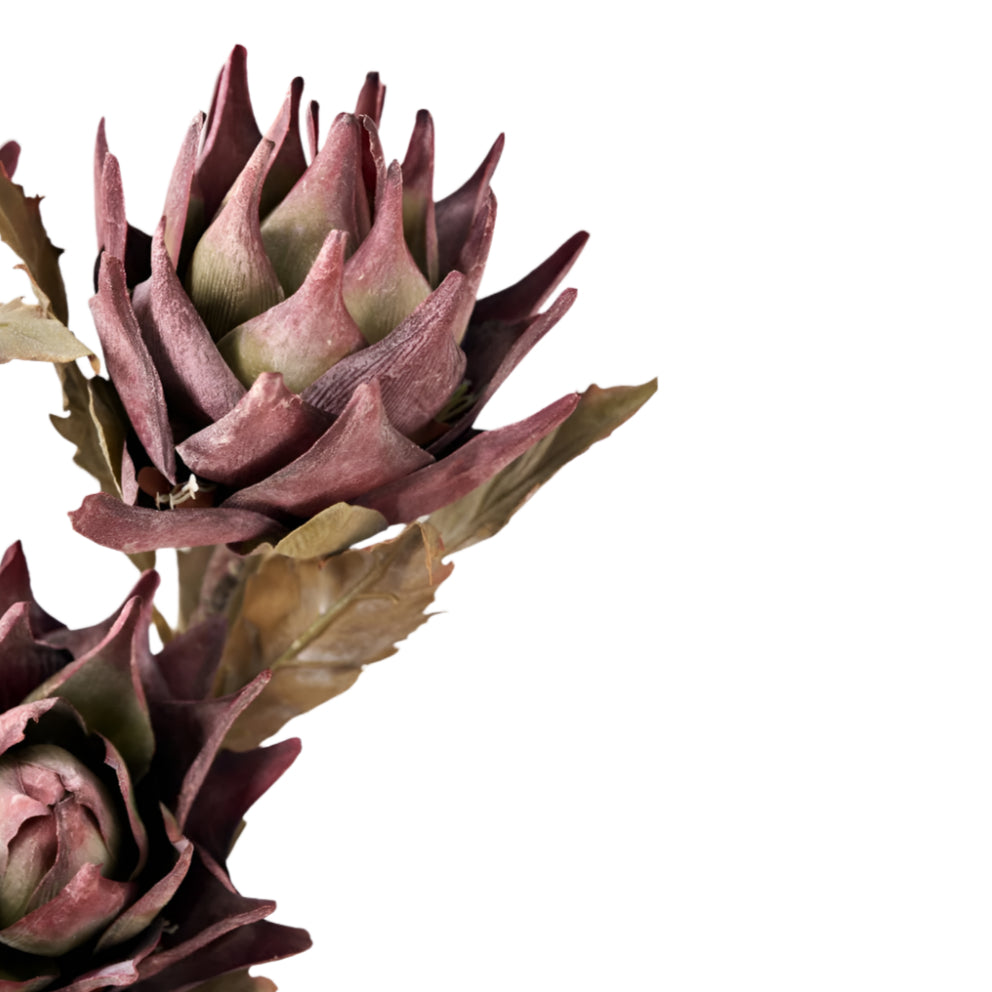 Mulberry Brown Dried Flower Bunch
