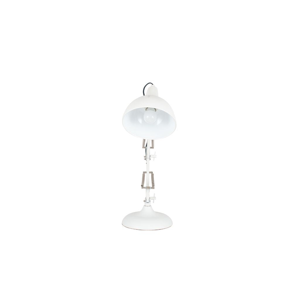 Alonzo Metal Angled Task Table Lamp