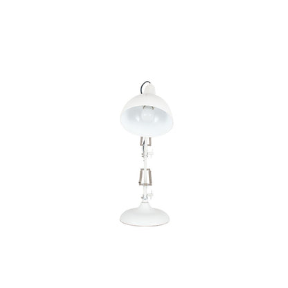 Alonzo Metal Angled Task Table Lamp