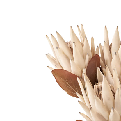 Natural Apricot Dried Flower Bunch