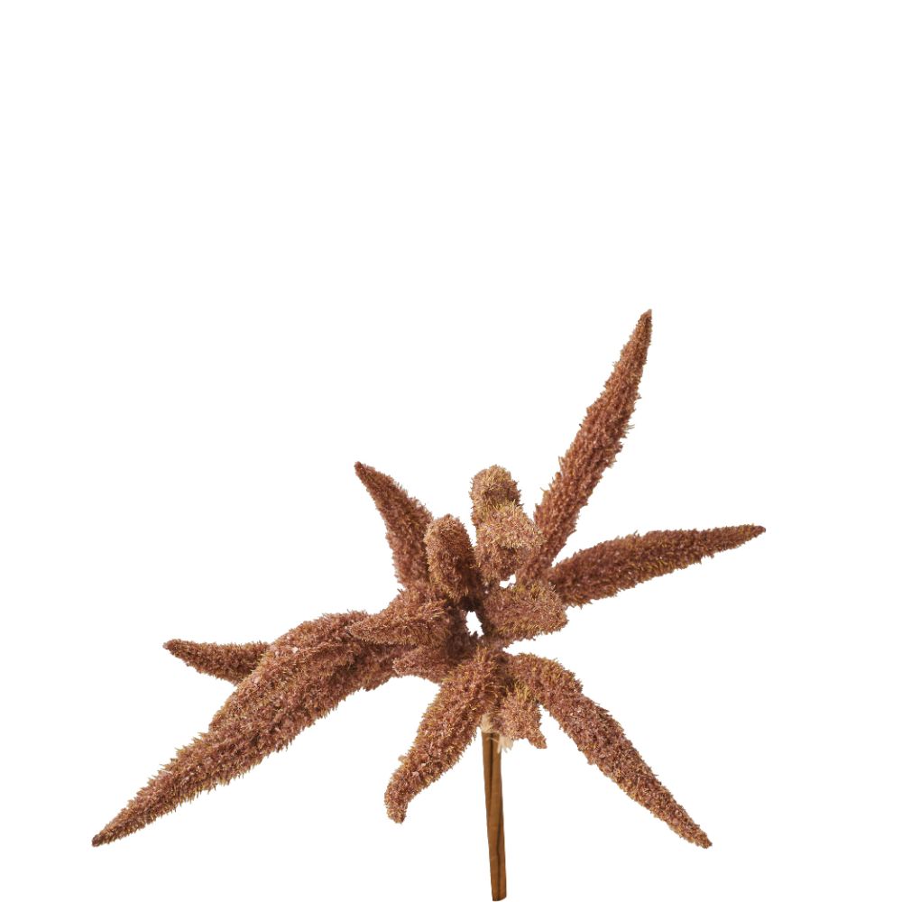Mulberry Brown Foxtail Hand-Tied 3 Stem Bundle Pack of 6