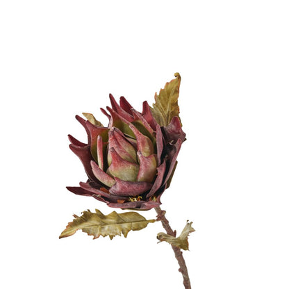 Mulberry Lotus Pack of 6