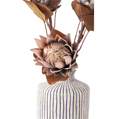Mulberry Brown Protea Pack of 6