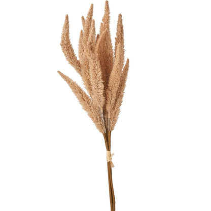 Natural Apricot Foxtail Hand-Tied 3 Stem Bundle Pack of 6
