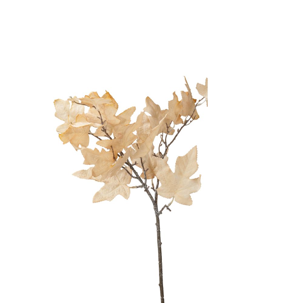 Natural Apricot Maple Leaf Pack of 6
