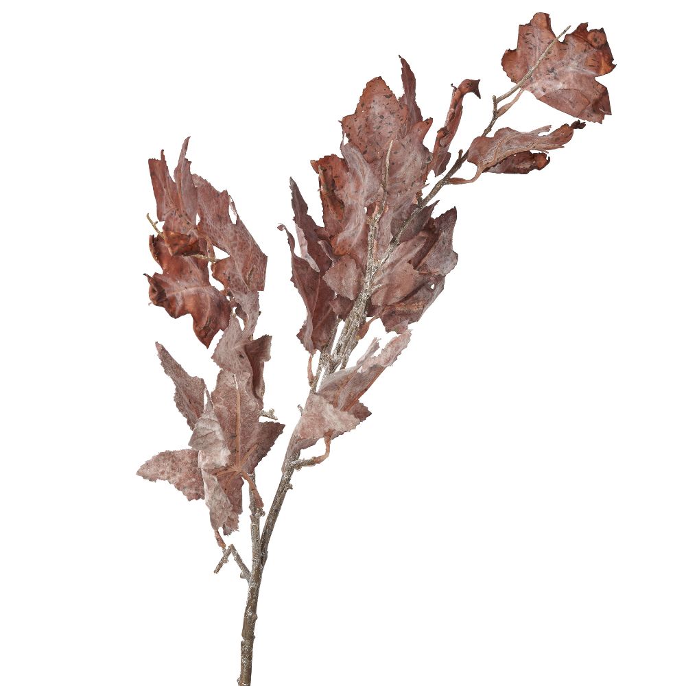 Mulberry Brown Maple Leaf Pack of 6