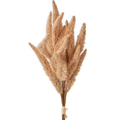 Natural Apricot Foxtail Hand-Tied 3 Stem Bundle Pack of 6