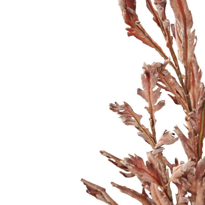 Mulberry Brown Dried Flower Bunch
