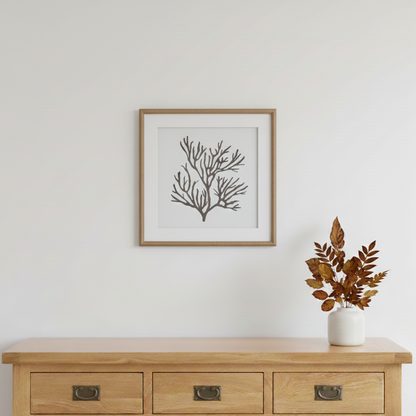 Reef Coral Mounted In Beaded Frame Wall Art