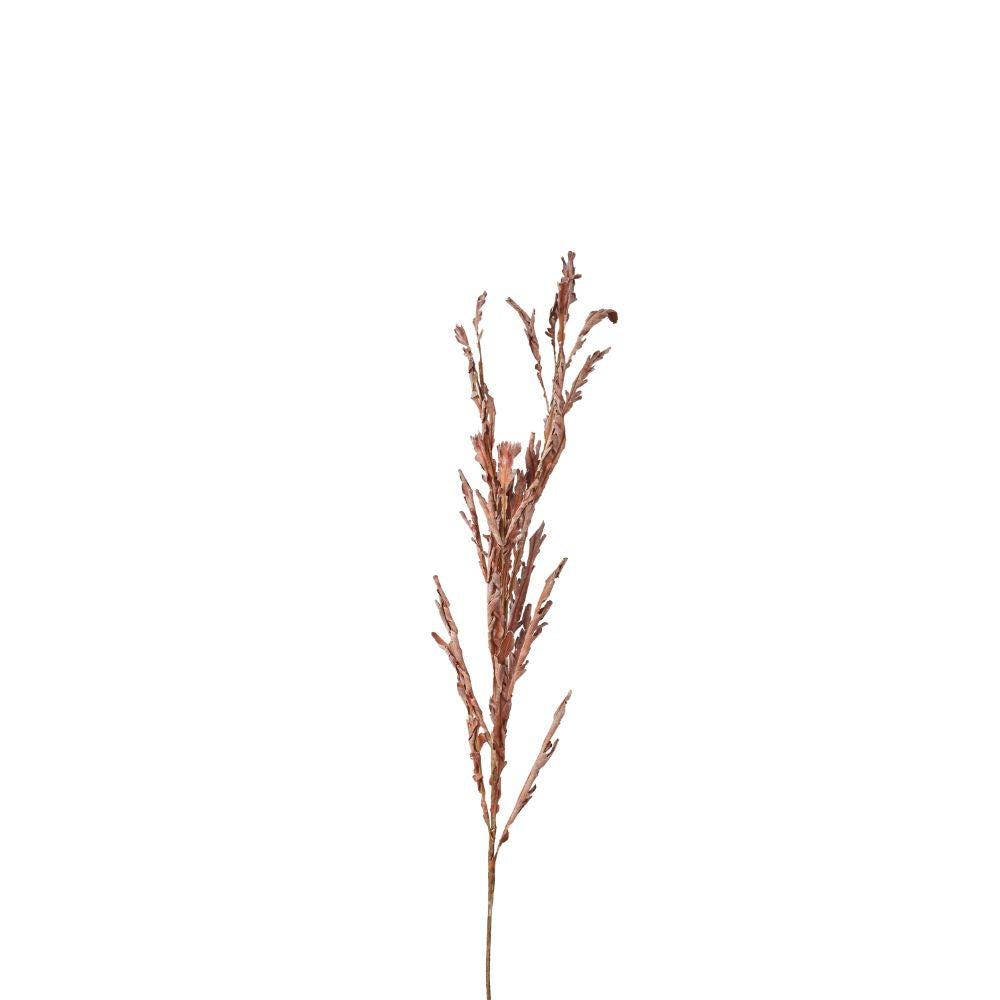 Mulberry Brown Autumn Leaf Pack of 6