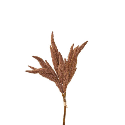 Mulberry Brown Foxtail Hand-Tied 3 Stem Bundle Pack of 6
