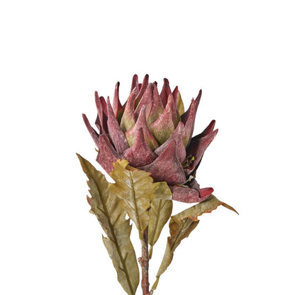 Mulberry Lotus Pack of 6