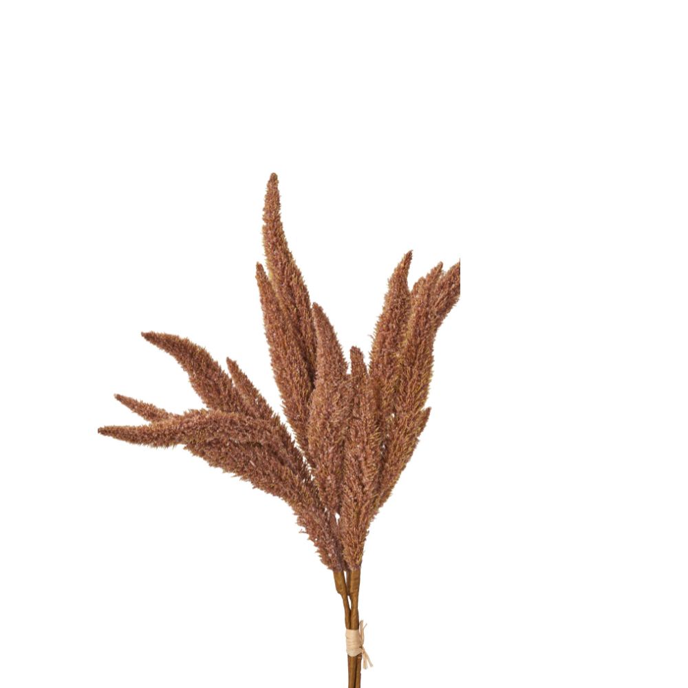 Mulberry Brown Foxtail Hand-Tied 3 Stem Bundle Pack of 6
