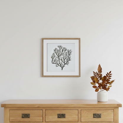 Atol Coral Art Mounted In Beaded Frame Wall Art