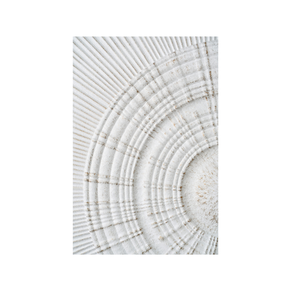Antique White Moulded Metal Circle Wall Art