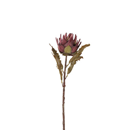 Mulberry Lotus Pack of 6