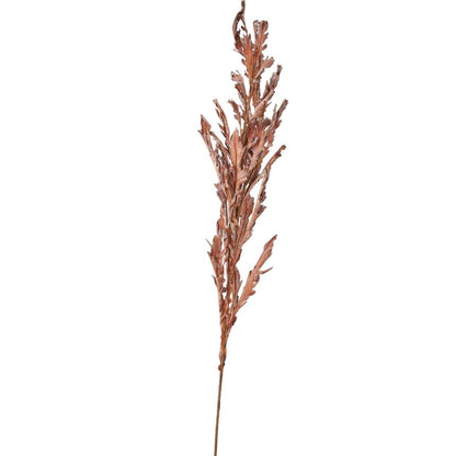 Mulberry Brown Dried Flower Bunch